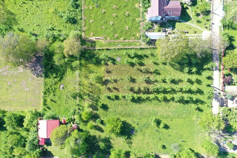 Teren intravilan de vanzare in Brebu (zona foarte linistita)