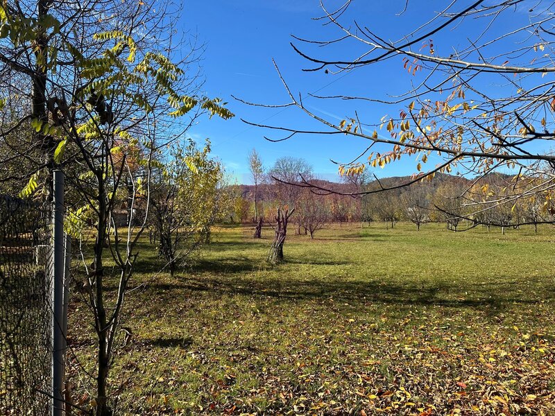 Teren intravilan de vanzare in Brebu (zona foarte linistita)
