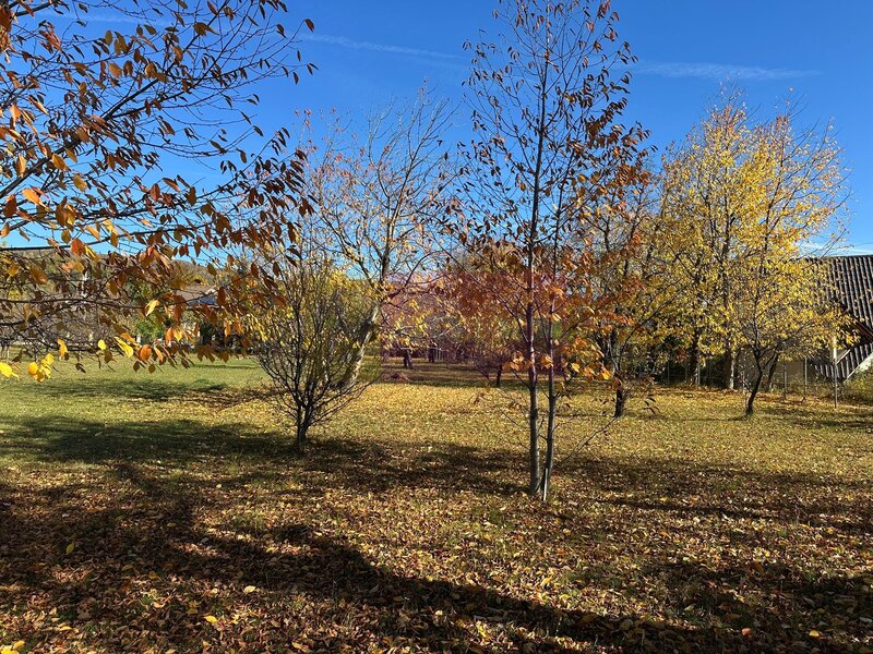 Teren intravilan de vanzare in Brebu (zona foarte linistita)
