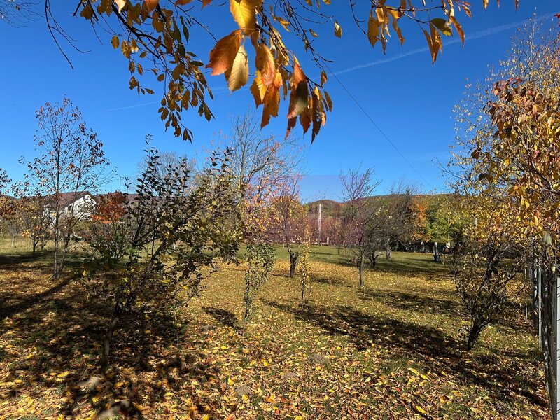 Teren intravilan de vanzare in Brebu (zona foarte linistita)